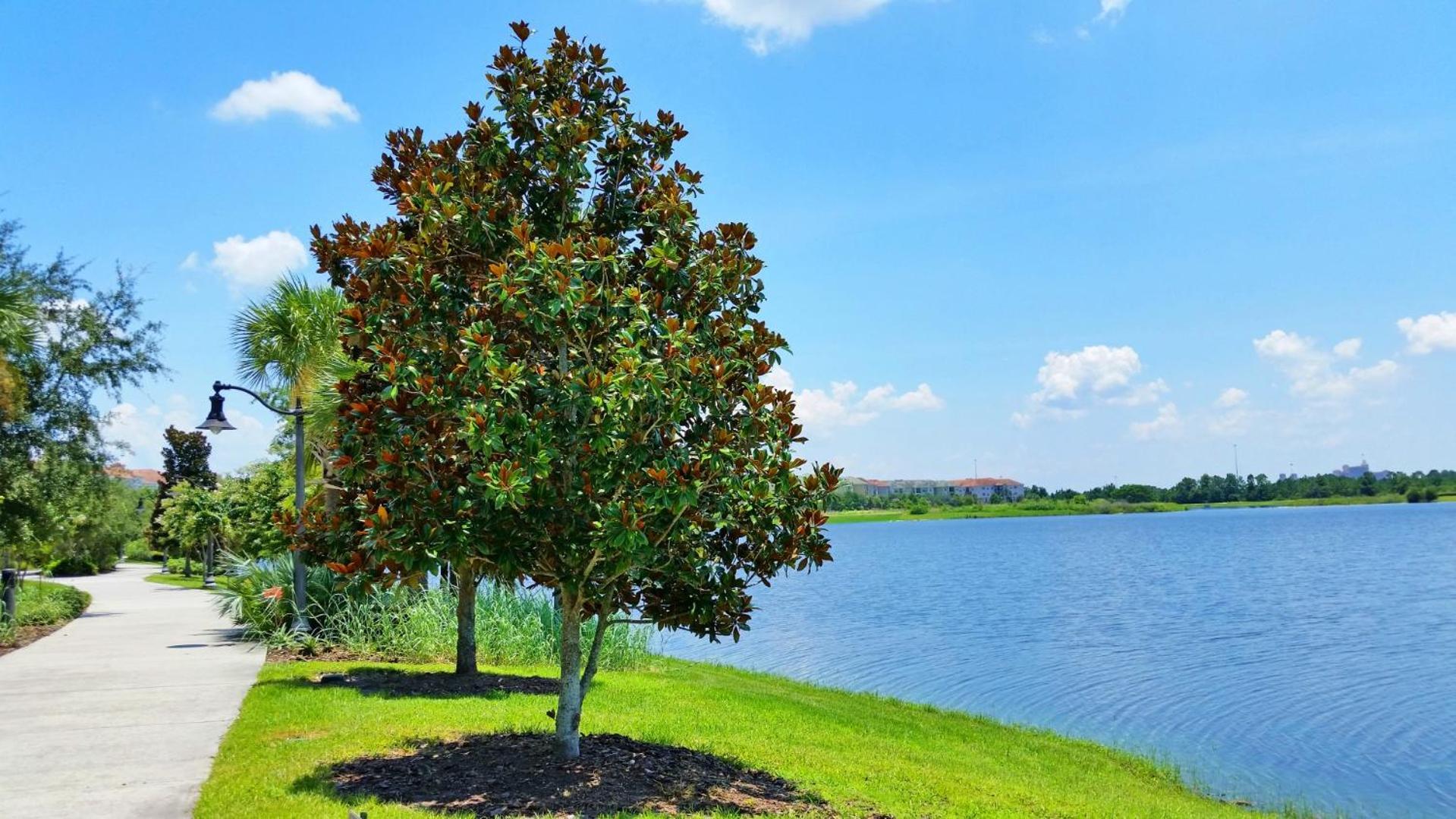 Lovely Townhome At Vista Cay Resort Near Wdw Orlando Exteriér fotografie